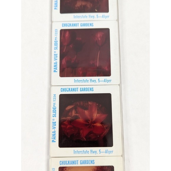 Vintage GAF Pana-Vue Slides Chuckanut Gardens Alger Washington Lot of 5 PV125 - Picture 6 of 10